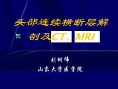 【大学课件】头部连续横断层解剖及MRI