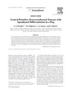 central primitive neuroectodermal tumour with ependymal differentiation in a dog医学：中枢性原始神经外胚层肿瘤在犬医学室管膜分化