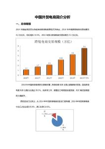 中國(guó)外貿(mào)電商分析