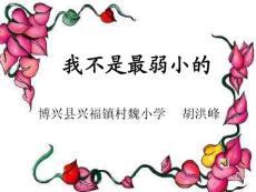 我不是最弱小的