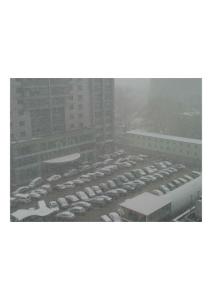 鄭州春雪4