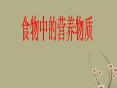 山東省日照市東港實(shí)驗(yàn)學(xué)校七年級(jí)生物下冊(cè)《食物中的營養(yǎng)物質(zhì)》課件 新人教版