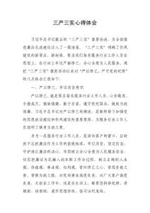 三严三实心得体会