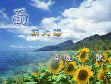 《面朝大海，春暖花开》ppt课件7