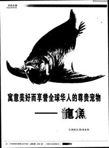 寓意美好而享誉全球华人的尊贵宠物－龙鱼