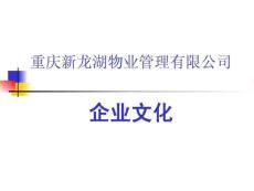 [整理版]龍湖物業企業文明(教授教化ppt)