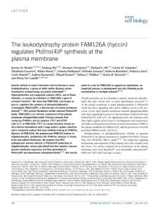 ncb3271-The leukodystrophy protein FAM126A (hyccin) regulates PtdIns(4)P synthesis at the plasma membrane