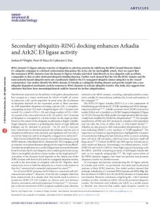 nsmb.3142-Secondary ubiquitin-RING docking enhances Arkadia and Ark2C E3 ligase activity