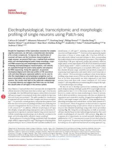 nbt.3445-Electrophysiological, transcriptomic and morphologic profiling of single neurons using Patch-seq
