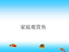家庭觀賞魚