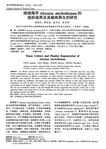 綠絨海芋Alocasia micholitziana的組織培養(yǎng)及其植株再生的研究