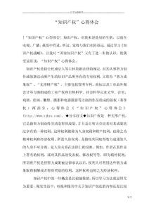 “知識產權”心得體會