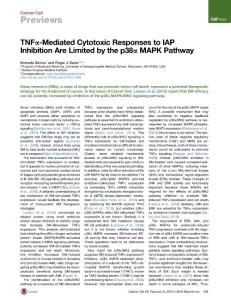 Cancer Cell-2016-TNFα-Mediated Cytotoxic Responses to IAP Inhibition Are Limited by the p38α MAPK Pathway