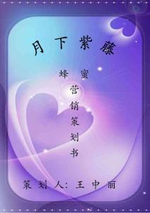 網(wǎng)絡(luò)營(yíng)銷策劃 蜂蜜