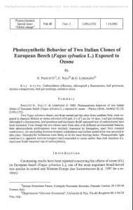 Photosynthetic Behavior of Two Italian Clones of European…