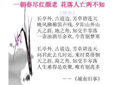 《爸爸的花儿落了》课件1（51张PPT）（人教新课标七年级下册）