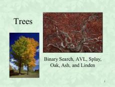 Trees