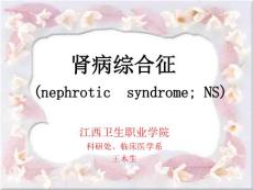 肾病综合征护理