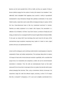 英語科普：近距離觀測細菌運動