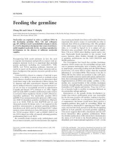 Genes Dev.-2016-Shi-249-50- Feeding the germline