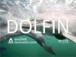 符立佳—Dolfin系统架构实现及运营实践v1.0