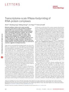 nbt.3441-Transcriptome-scale RNase-footprinting of RNA-protein complexes