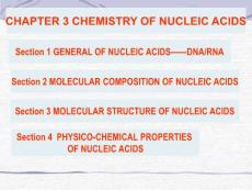 北京大學生物化學課件 第3章核酸