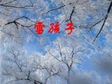 《雪孩子》ppt课件