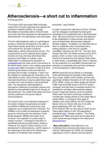 Atherosclerosis—a short cut to inflammation