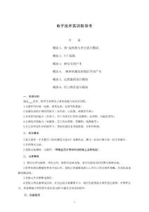 1.電子技術(shù)實(shí)訓(xùn)指導(dǎo)書--芯片資料可參考-清單不參考