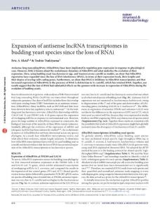 nsmb.3192-Expansion of antisense lncRNA transcriptomes in budding yeast species since the loss of RNAi