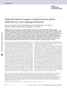 nsmb.3199-Molecular basis of caspase-1 polymerization and its inhibition by a new capping mechanism