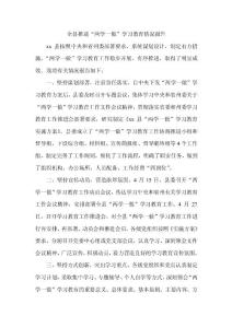 全县推进“两学一做”学习教育情况报告
