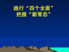 新-践行四个全面与把握新常态