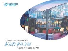 上海某著名房地产规划案例PPT