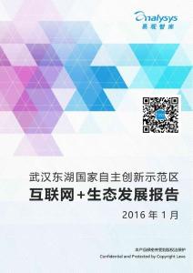 武漢東湖國家自主創新示范區互聯網+生態發展報告