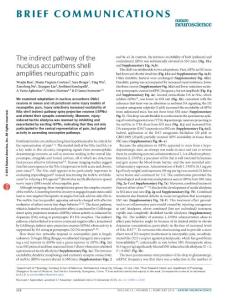 nn.4199-The indirect pathway of the nucleus accumbens shell amplifies neuropathic pain