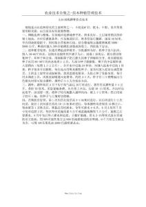 山區(qū)刺槐播種育苗技術(shù)