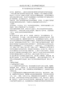 樟子松幼齡林改建紅松堅果林技術(shù)