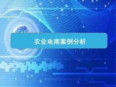 2015互联网+农村电子商务案例分析