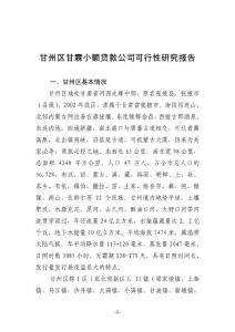 x区xx小额贷款公司可行性研究报告