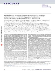 nsmb.3218-Multilayered proteomics reveals molecular switches dictating ligand-dependent EGFR trafficking