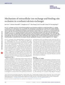 nsmb.3230-Mechanism of extracellular ion exchange and binding-site occlusion in a sodium-calcium exchanger