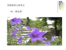 一路花喷鼻.[要领]