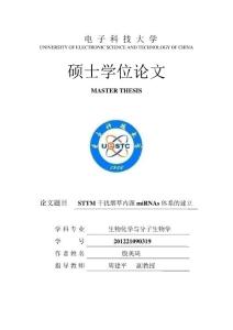 STTM干擾煙草內源miRNAs體系的建立