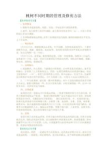 桃樹(shù)不同時(shí)期的管理及修剪方法