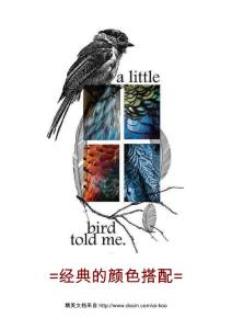 經(jīng)典的顏色搭配