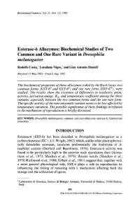 Esterase-6 allozymes Biochemical studies of two common and one rare variant inDrosophila melanogaster