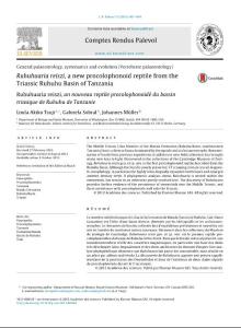 Ruhuhuaria reiszi, a new procolophonoid reptile from the Triassic Ruhuhu Basin of Tanzania