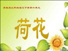 苏教版小学三年级下册语文《荷花》课件PPT
